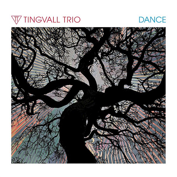 Tingvall Trio Dance