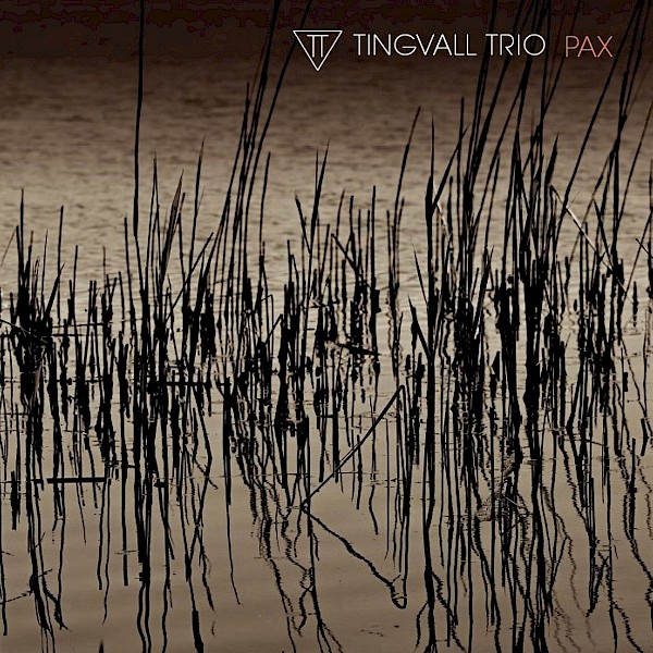 Tingvall Trio PAX